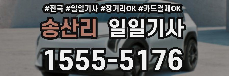송산리 일일기사