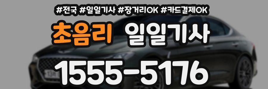 초음리 일일기사