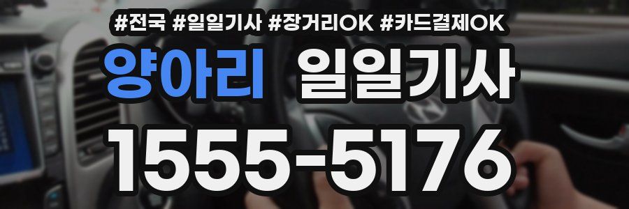 양아리 일일기사