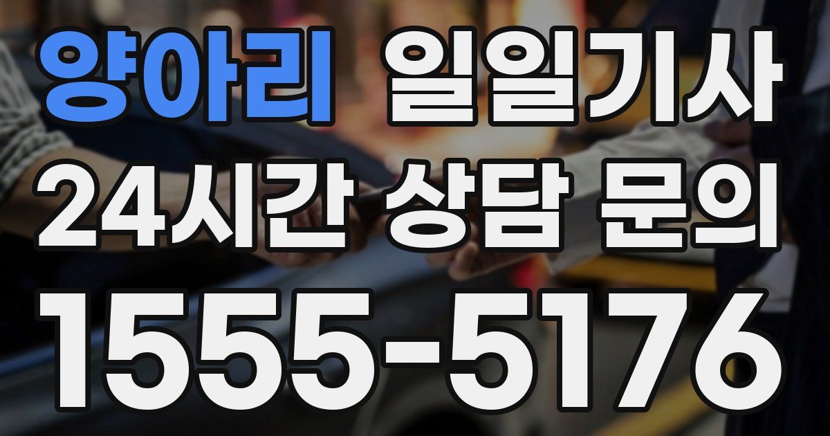일일대리기사