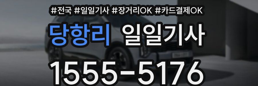 당항리 일일기사