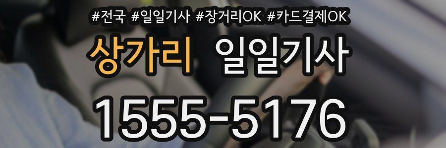 상가리 일일기사