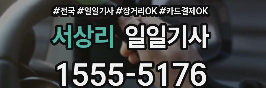 서상리 일일기사