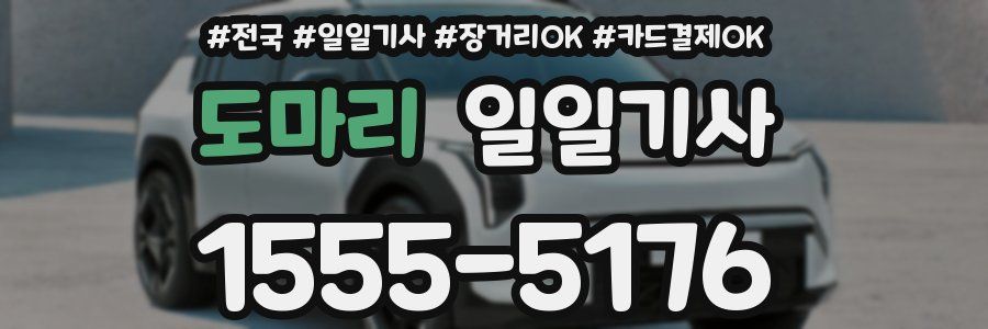 도마리 일일기사