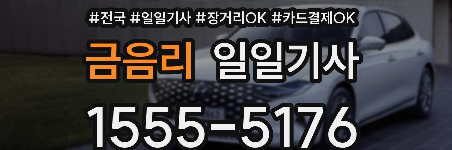 금음리 일일기사