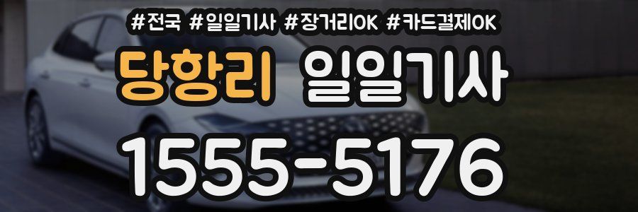 당항리 일일기사