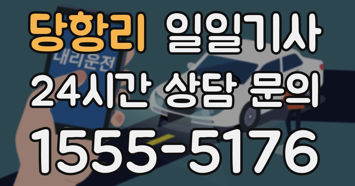 일일대리기사