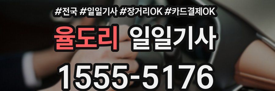 율도리 일일기사