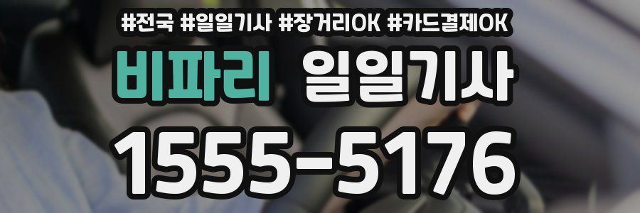 비파리 일일기사