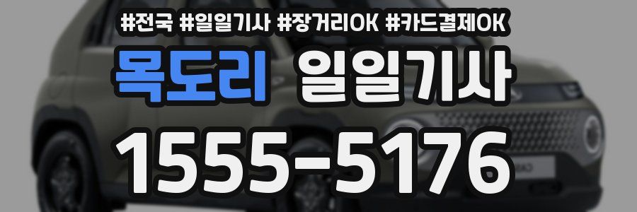 목도리 일일기사