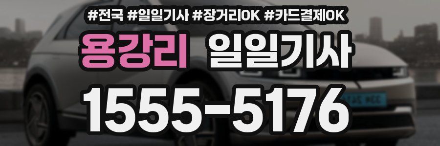 용강리 일일기사