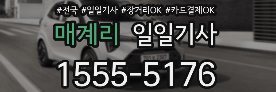 매계리 일일기사