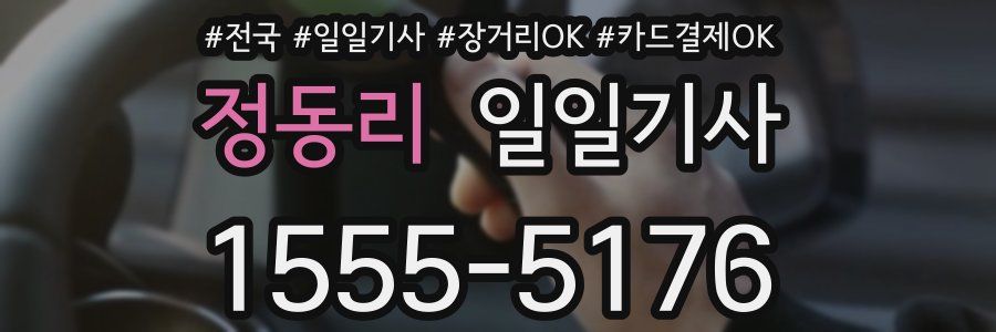 정동리 일일기사