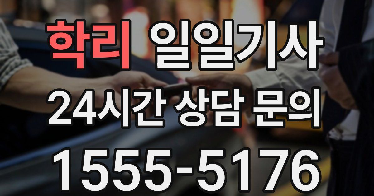 일일대리기사