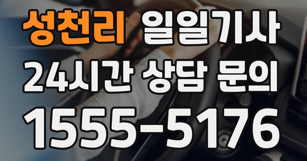 일일대리기사