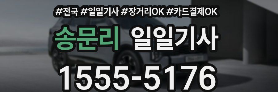 송문리 일일기사