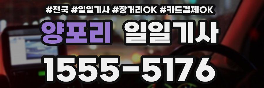 양포리 일일기사