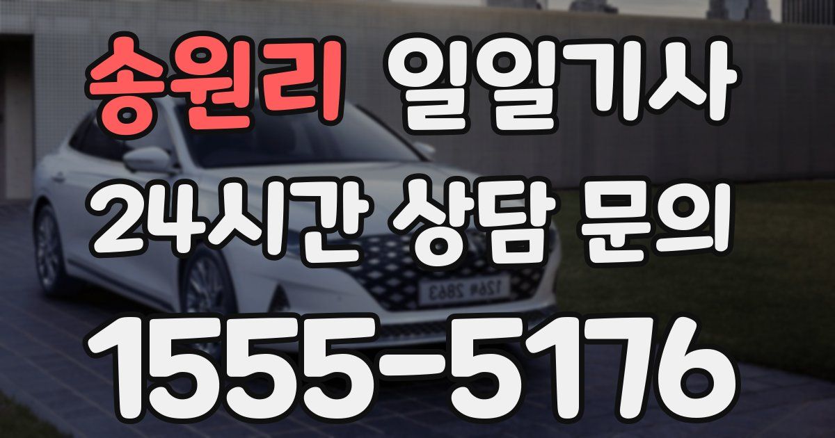 일일대리기사