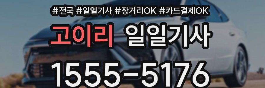 고이리 일일기사