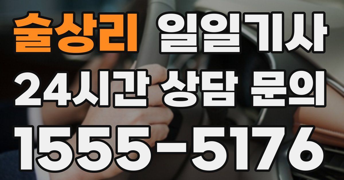 일일대리기사