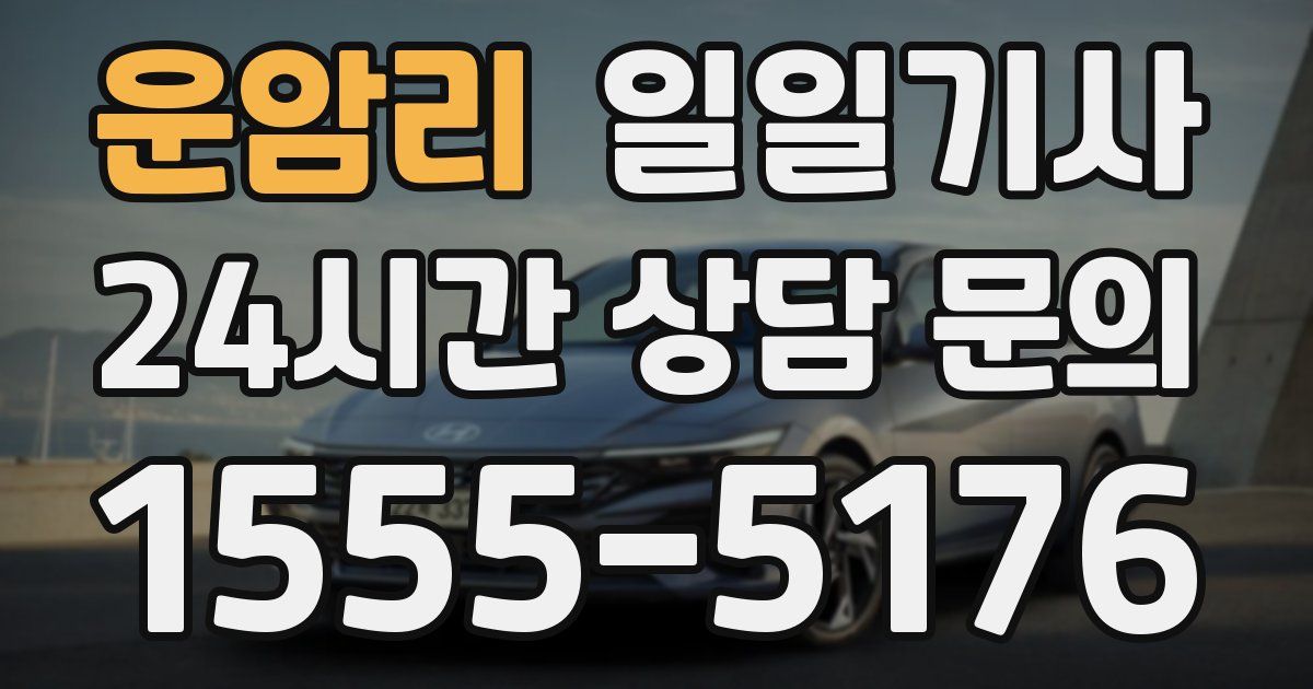 일일대리기사