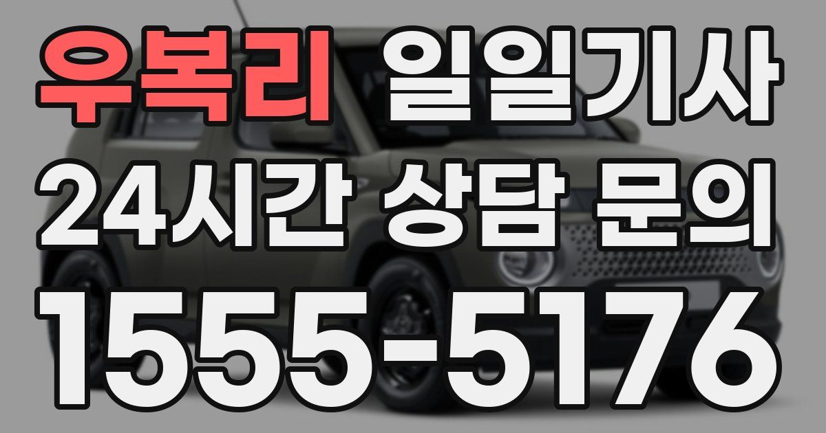 일일대리기사