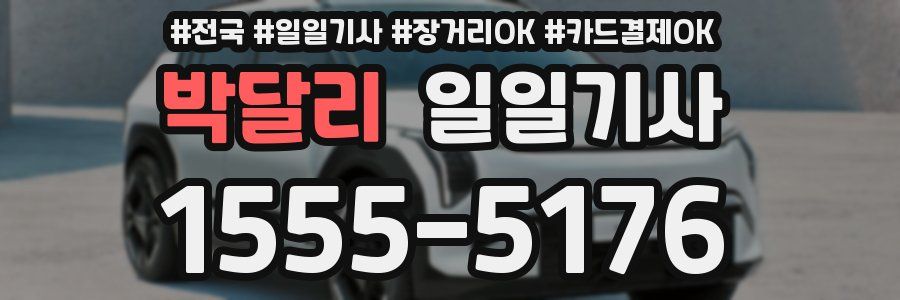 박달리 일일기사