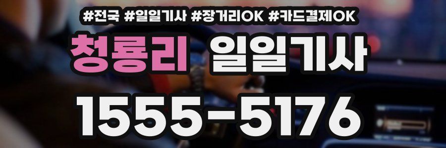 청룡리 일일기사