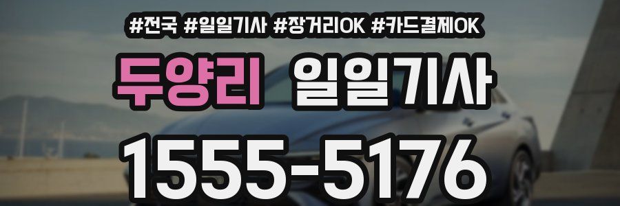 두양리 일일기사