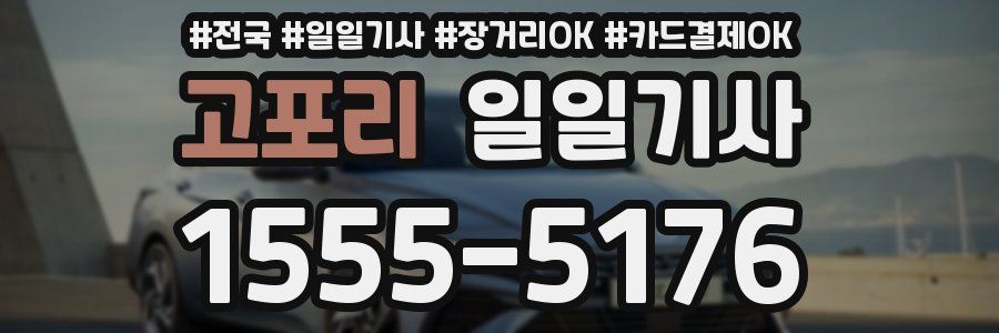 고포리 일일기사