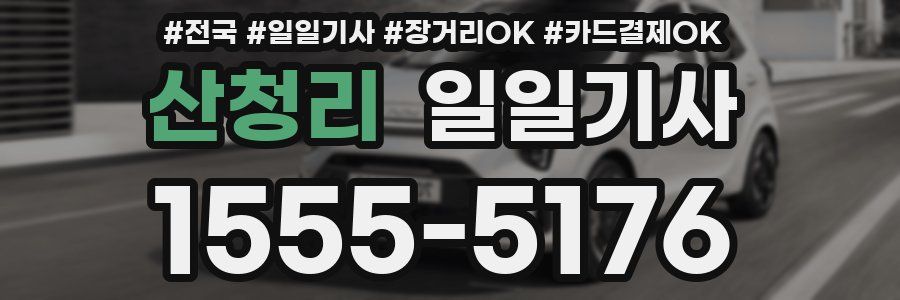 산청리 일일기사