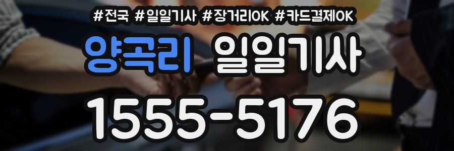 양곡리 일일기사