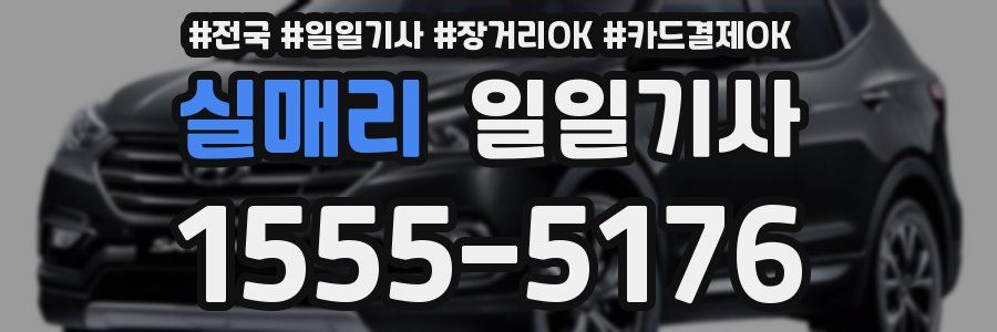 실매리 일일기사