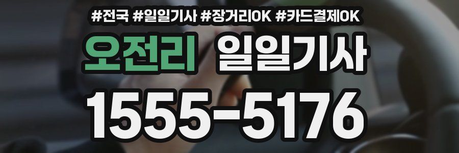 오전리 일일기사