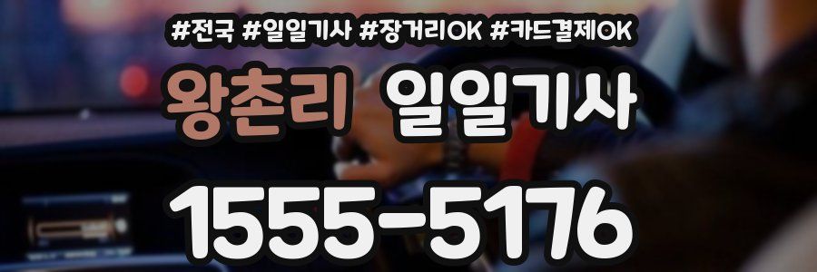 왕촌리 일일기사