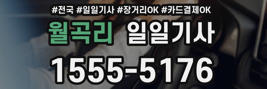 월곡리 일일기사