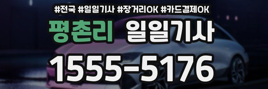 평촌리 일일기사