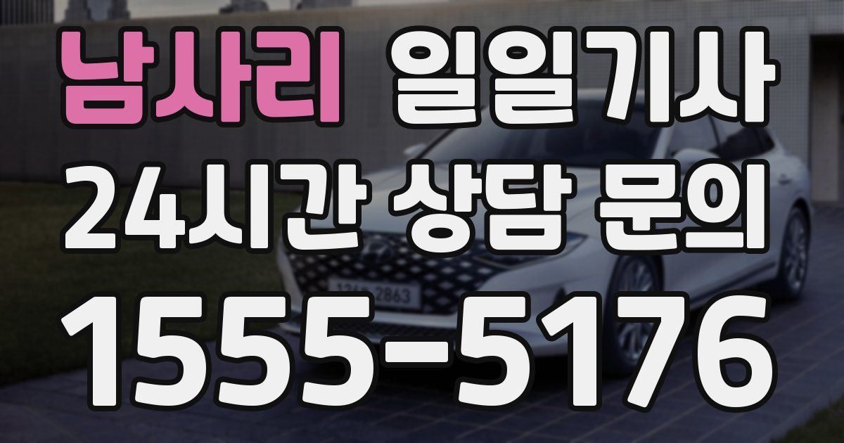 일일대리기사