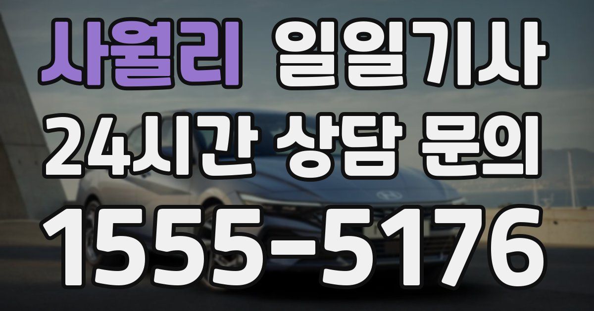 일일대리기사