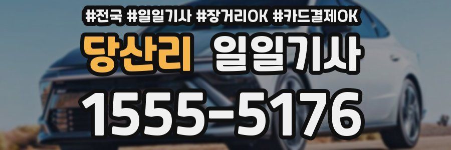 당산리 일일기사