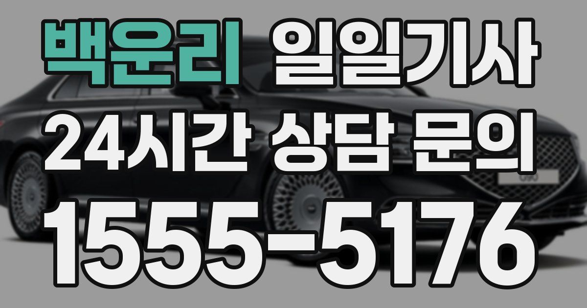 일일대리기사
