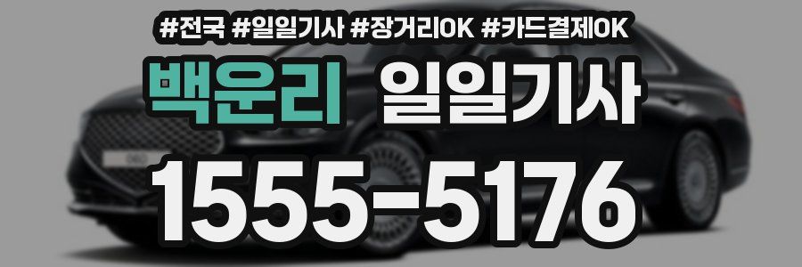 백운리 일일기사