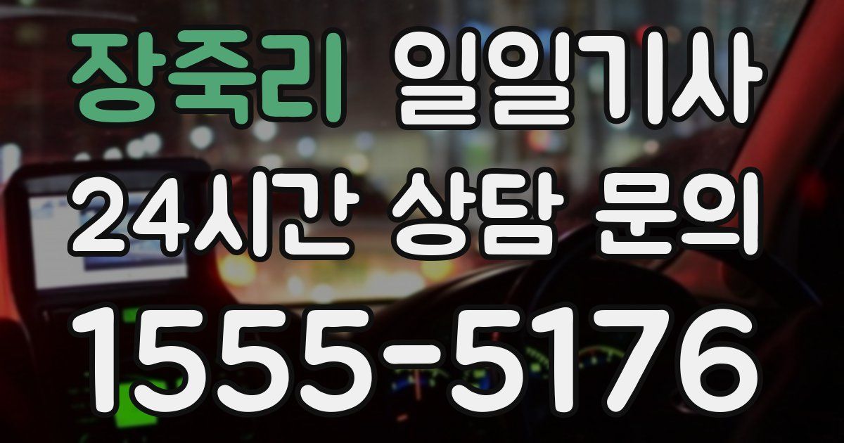 일일대리기사