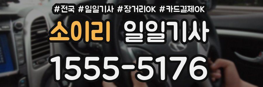 소이리 일일기사