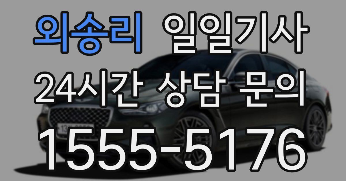 일일대리기사