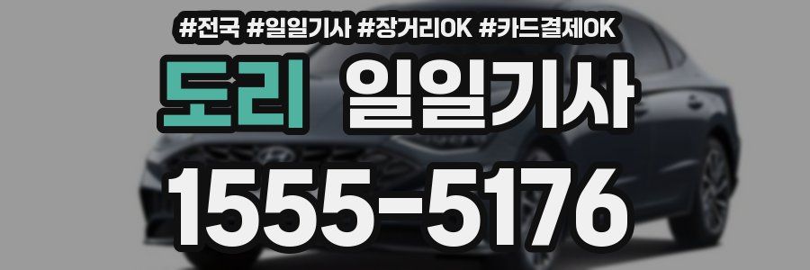 도리 일일기사