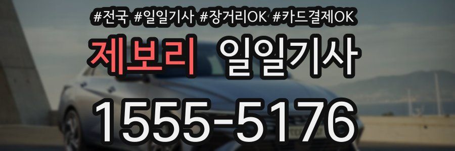 제보리 일일기사