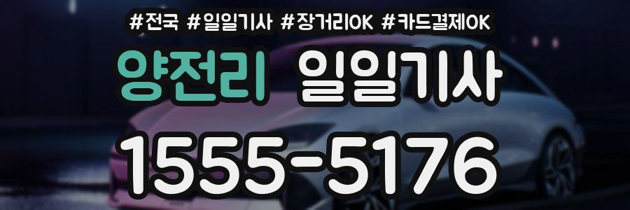 양전리 일일기사