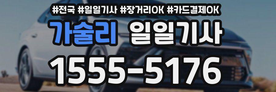 가술리 일일기사