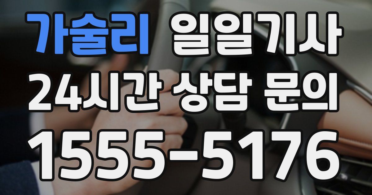일일대리기사
